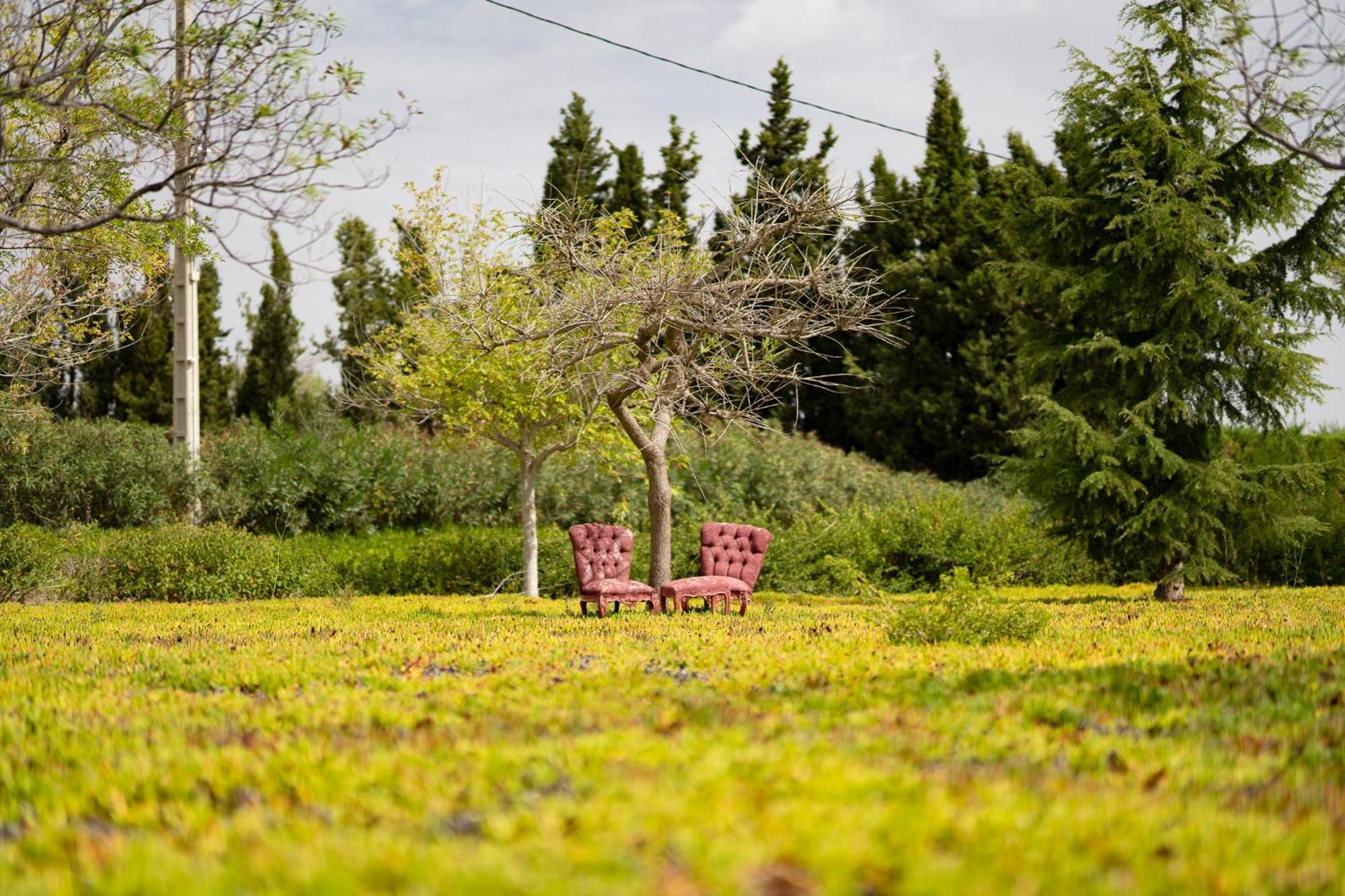 Mas Montbrio Belvedere Casa rural *